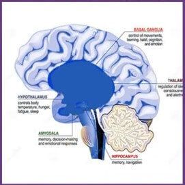 La ansiedad factor emocional 