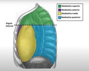 corazon cervicalgia