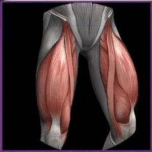 problemas Musculares