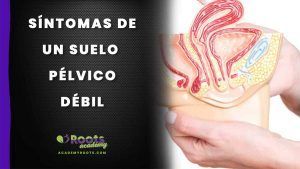 Roots-Suelo-Pelvico debil