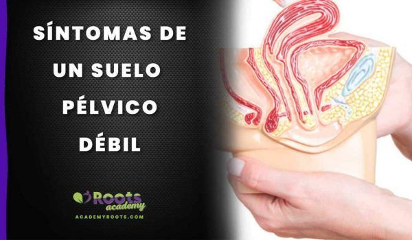 Roots-Suelo-Pelvico debil