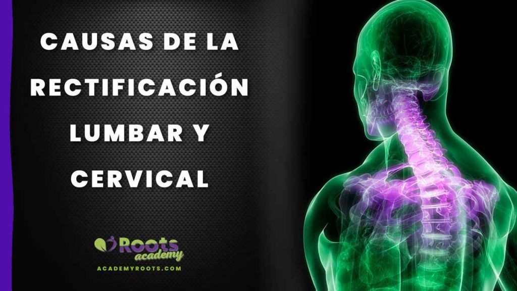 Rectificacion-lumbar-Roots