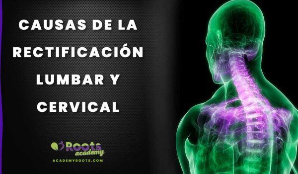 Rectificacion-lumbar-Roots