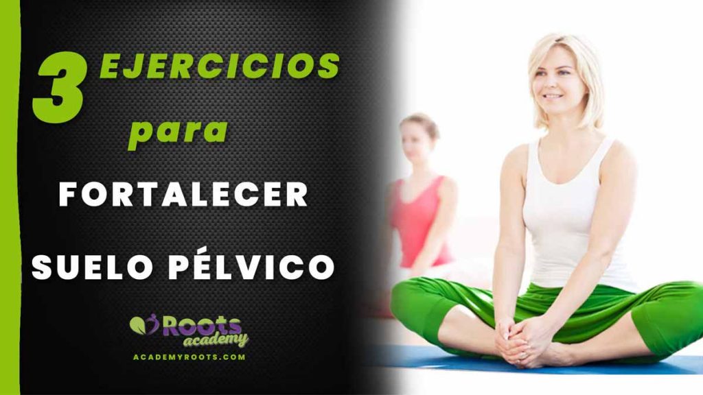 Roots-suelo-pelvico