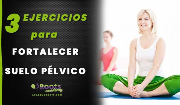 Roots-suelo-pelvico