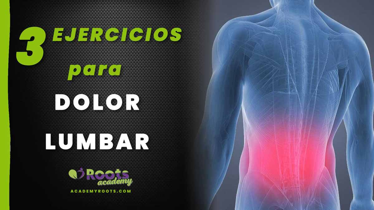 Roots-Dolor-Lumbar-